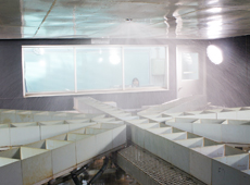Automatic sprinkler heads
