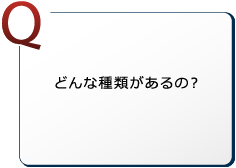 どんな種類があるの？